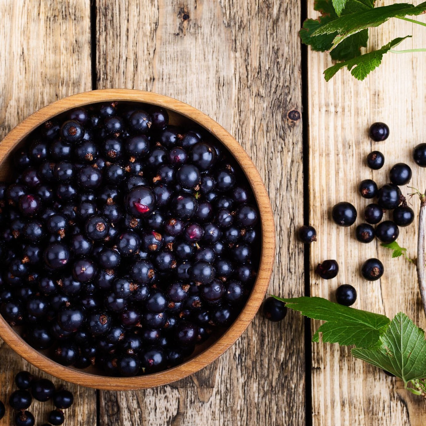 Black Currant Jam