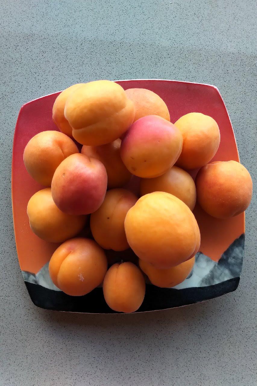 Apricot Chutney